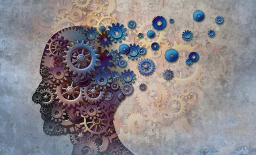 Güçlü Bir Hafıza İçin: Beyin Egzersizleri ve Kitapların Gücü