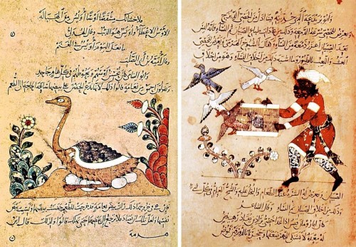 Câhız: Arap Nesrinin Şekillendiricisi ve Bilginin Gülen Yüzü