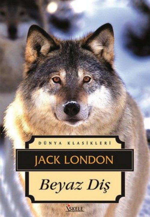 Beyaz Diş - Jack London