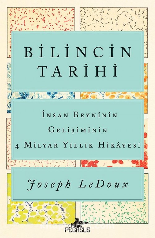 Bilincin Tarihi: İnsan Beyninin Gelişiminin  4 Milyar Yıllık Hikayesi 1
