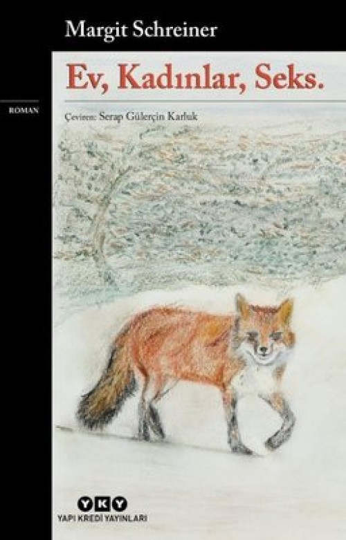 Ev Kadınlar Seks Margit Schreiner  YAPI KREDİ YAYINLARI