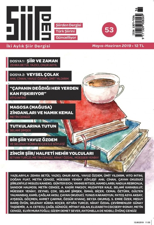 Şiirden Dergisi Sayı 53
