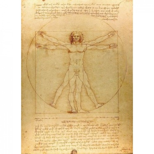 Vitruvius Adamı - Leonardo da Vinci - Poster