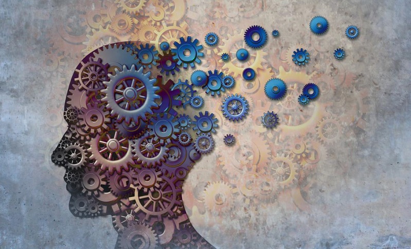  Güçlü Bir Hafıza İçin: Beyin Egzersizleri ve Kitapların Gücü 